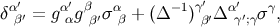 α′ α′ β α − 1γ′ α′ γ δ β′ = g αg β′σ β + (Δ )β′Δ γ′;γσ ,