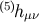 (5)h μν