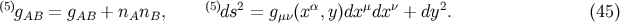(5)g = g + n n , (5)ds2 = g (x α,y)dxμdx ν + dy2. (45 ) AB AB A B μν
