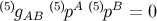 (5) (5)A (5)B gAB p p = 0