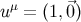 uμ = (1,⃗0)