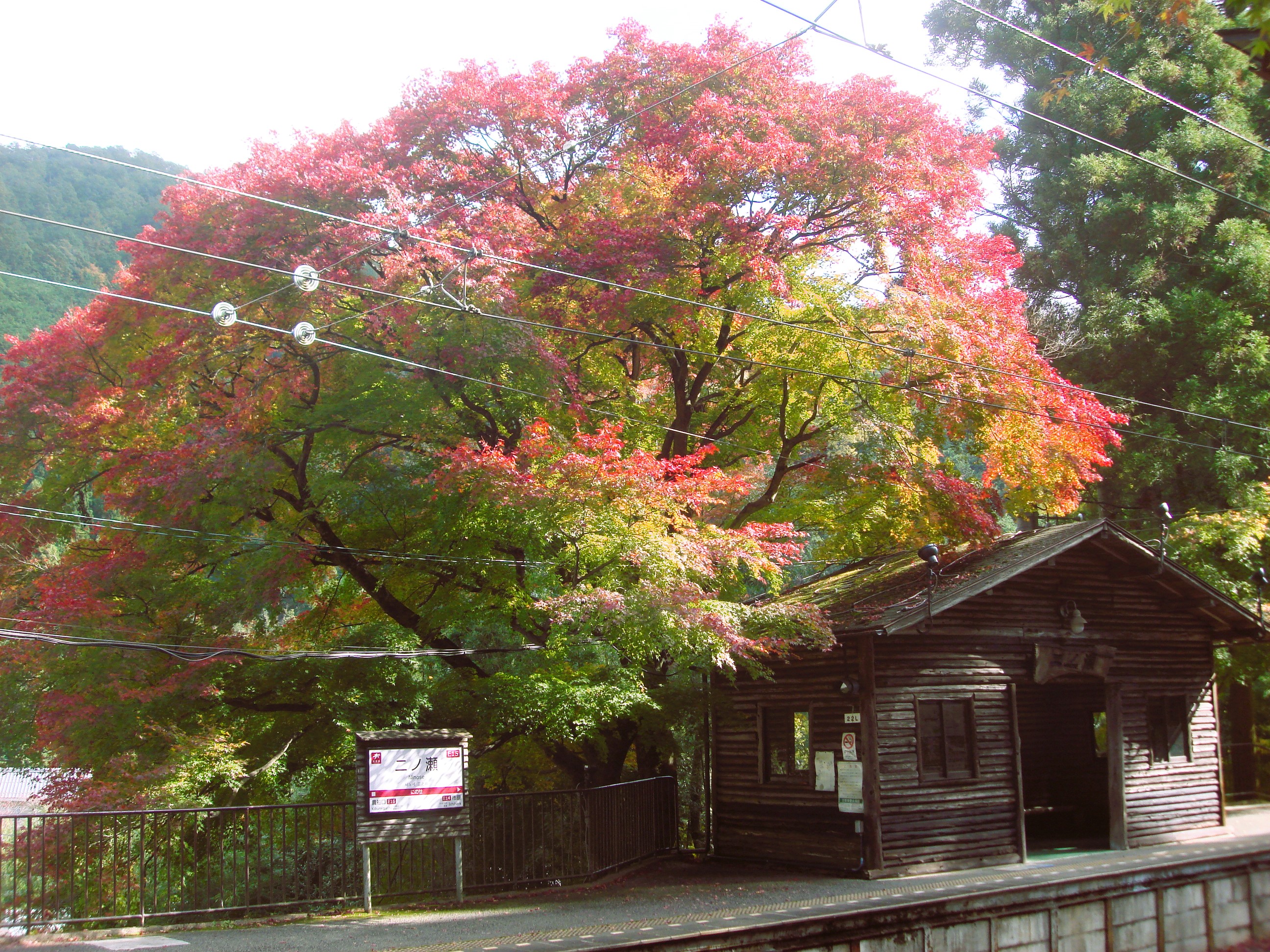 autumn1